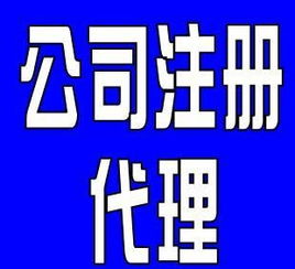 巴迪商务服务 武汉个体工商执照代理代办与软件支持