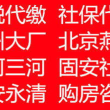 代理代办服务 现代生活中的便利桥梁