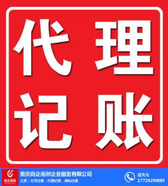 向企而创 南岸代理记账与代理代办服务助力企业高效发展