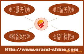 二手注塑机进口代理与软件服务 一站式解决方案助力企业降本增效