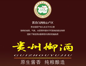 产品代理与代办服务策略 从签约到落地的完整指南