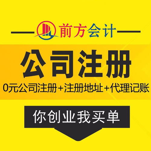 朝阳区软件服务类营业执照代办流程及费用详解